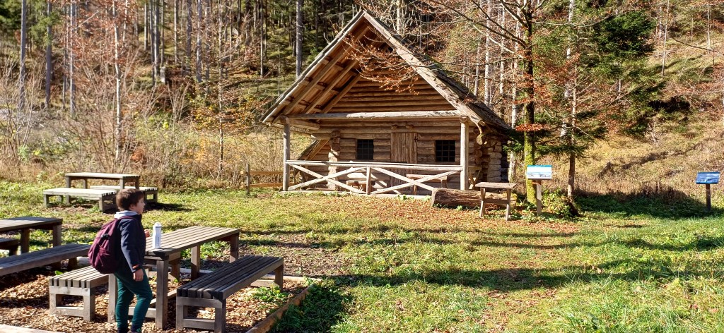 Log cabin in the forest